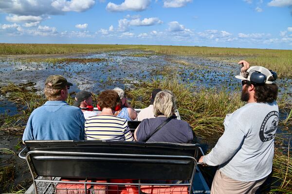 Everglades Swamp Tours offers an airboat excursion at one of the most biodiverse regions in the country. (Courtesy of Everglades Swamp Tours)