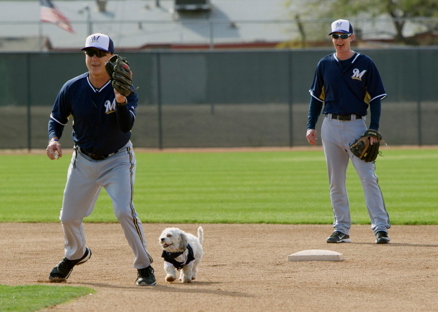 Milwaukee Brewers adopt stray, name it "Hank" after Hank Aaron