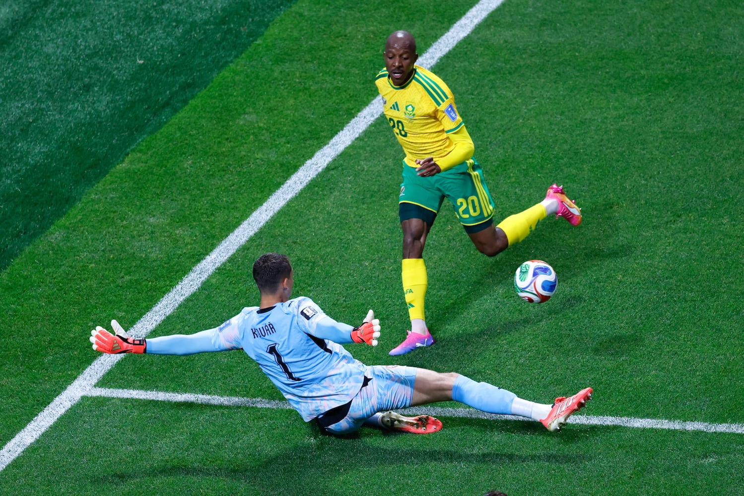 fifa world cup south africa versus Czechia