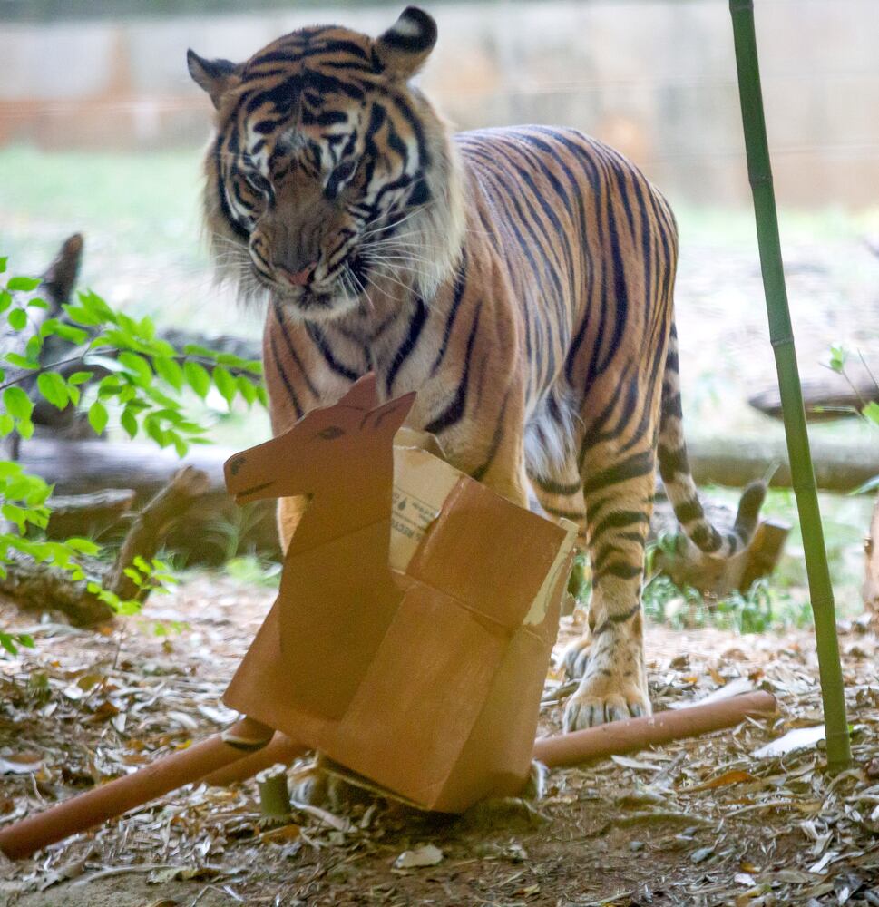 PHOTOS: 090819 zoo