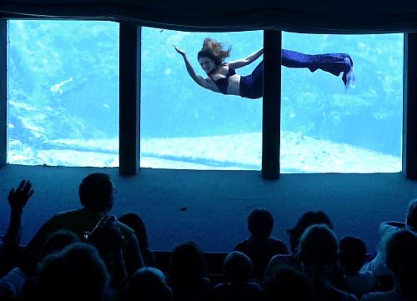 The mermaids of Weeki Wachee Springs