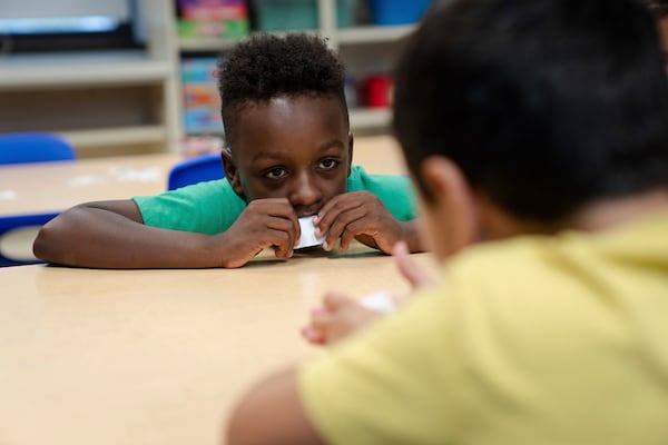 Kyro Sanchez, 7, participates in a science activity about pollinators during the East Providence Boys and Girls Club Summer Camp at Emma G. Whiteknact Elementary School on Thursday, July 10, 2025, in Providence, R.I. (AP Photo/Sophie Park)