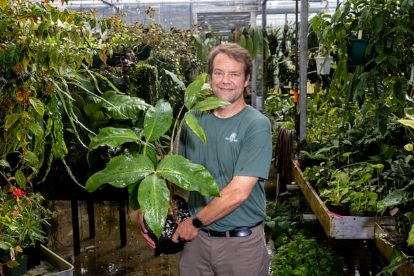 Scott McMahan, vice president of horticulture and collections at the Atlanta Botanical Gardens, poses with a cobra lily. (Arvin Temkar/AJC)