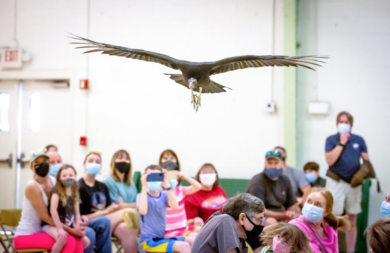 Chattahoochee Nature Center,