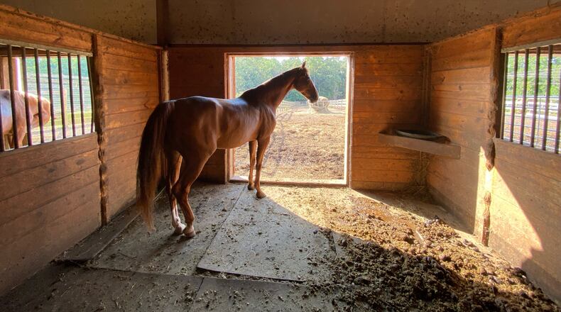 None of the 28 horses housed in the barn were injured in an equipment fire that was quickly extinguished by Cherokee County firefighters.