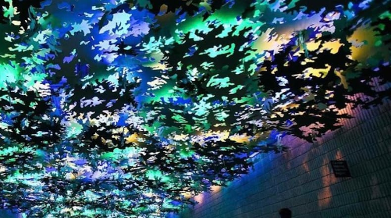 Steve Waldeck's "Flight Paths."