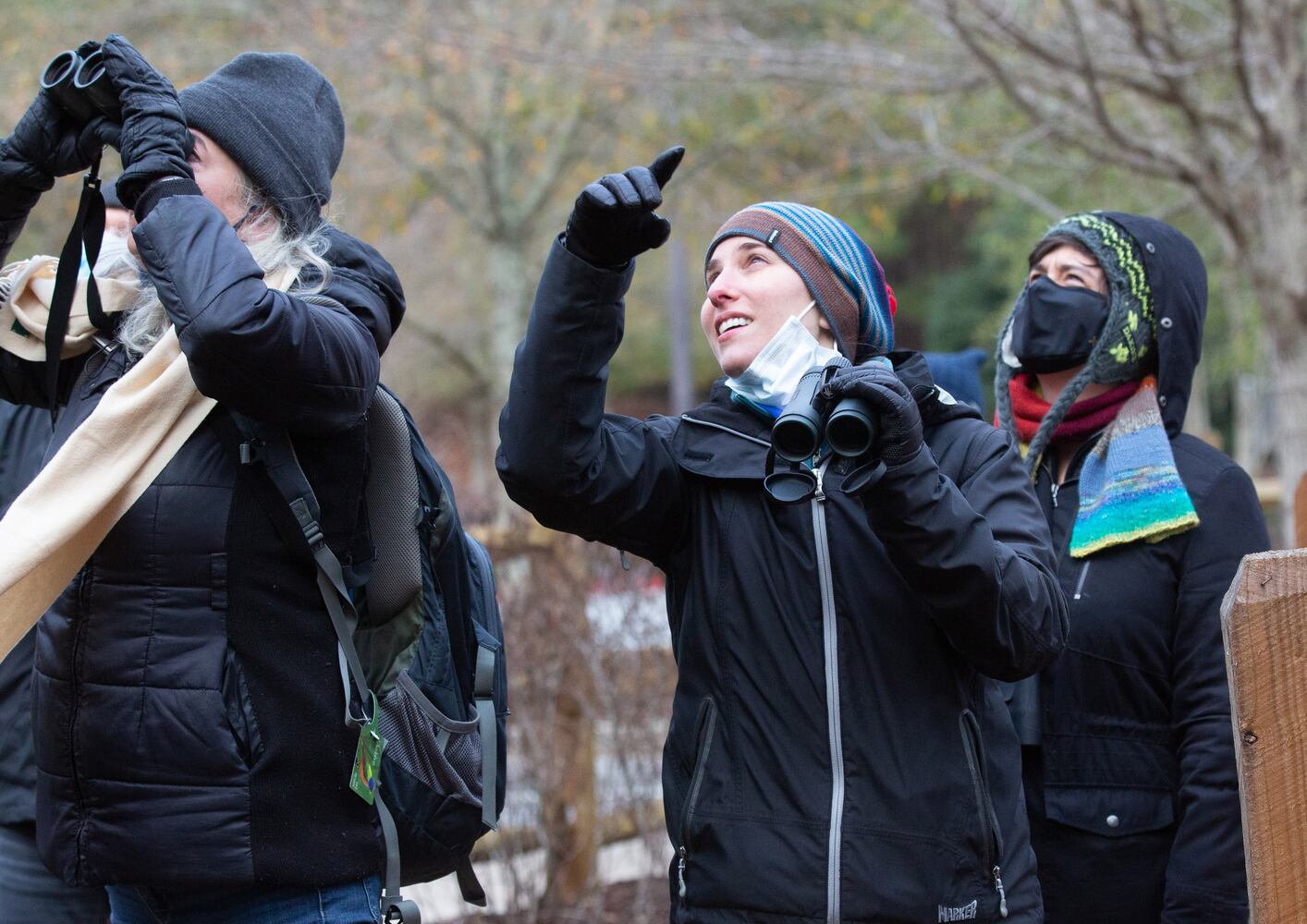 Bird Walk and Wildlife Viewing at Morgan Falls Overlook Park