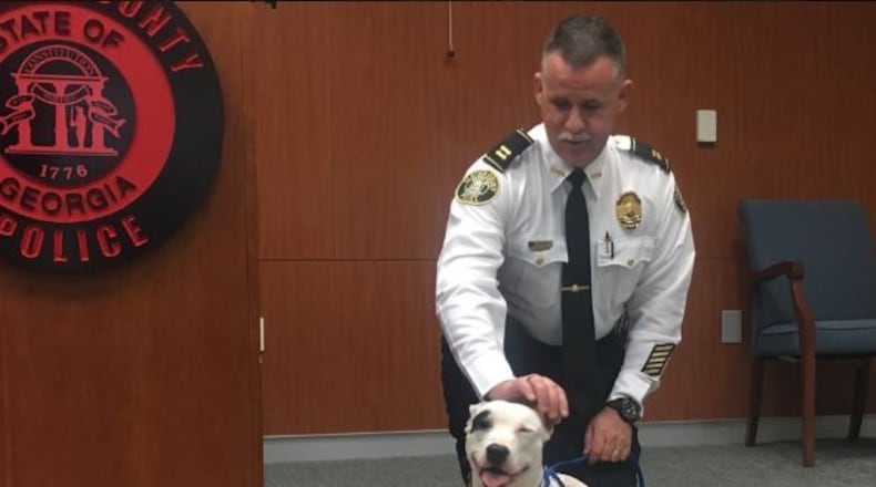 Two dogs were found starving outside a Clayton County home. (Credit: Channel 2 Action News)