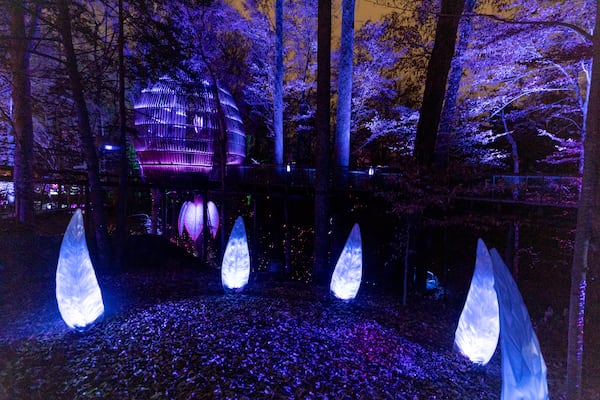 Trees and sculptures are illuminated at the Wildwoods: AGLOW Experience at the Fernbank Museum in Atlanta, GA, on Friday, December 2, 2022.(Photo/Jenn Finch)
