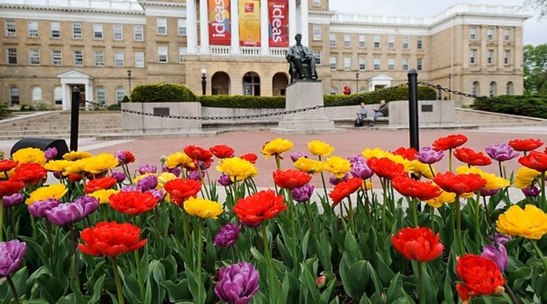 A student with racially motivated arson convictions wants to start an alt-right group at the University of Wisconsin-Madison .(Photo by Jeff Miller/UW-Madison)