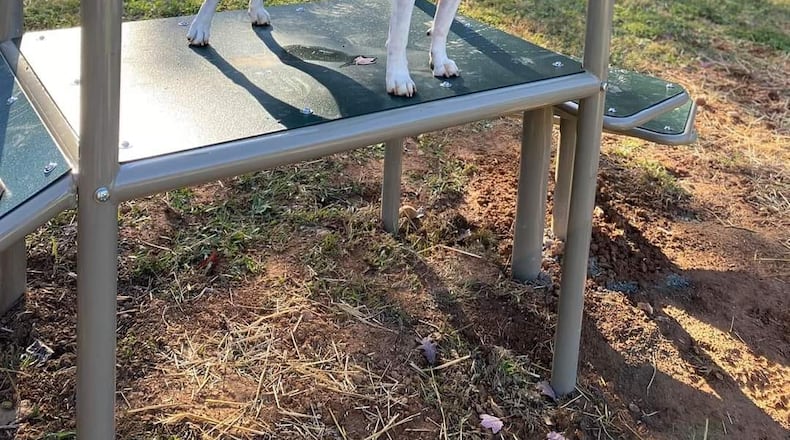 Atlanta opens first dog park on westside in Mozley Park. (Courtesy Friends of Mozley Park)