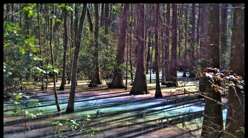 "Psychedelic Swamp" shows water reflecting hues of blue, purple, yellow, green and pink. (Facebook/Michael Hussey)