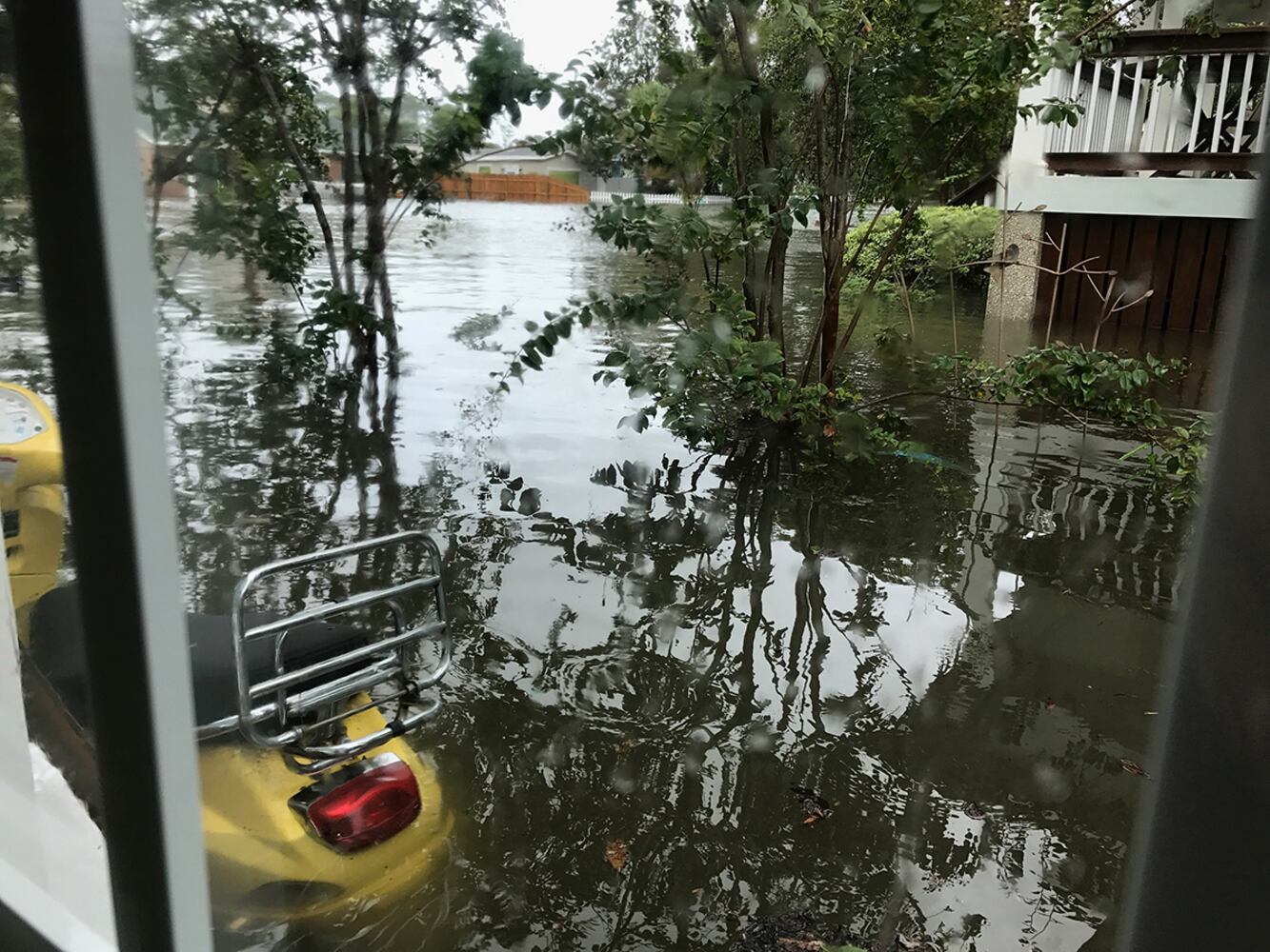 Photos: Tropical Storm Irma arrives in Georgia