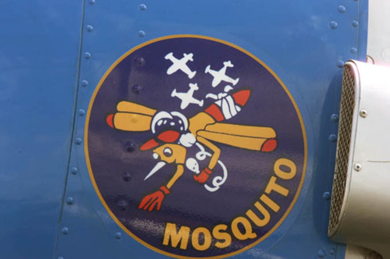 Great Georgia Airshow