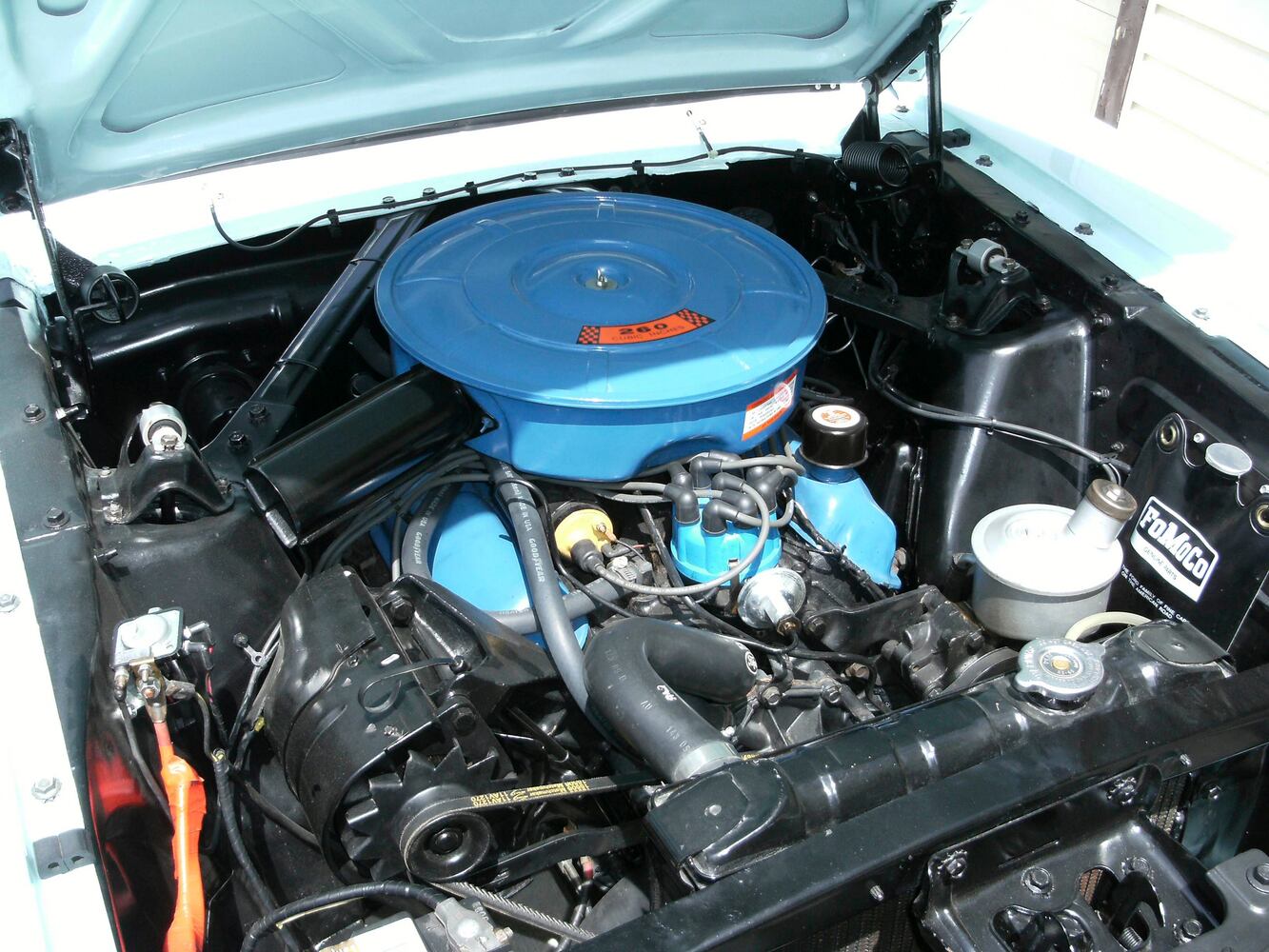 1964 1/2 convertible survives