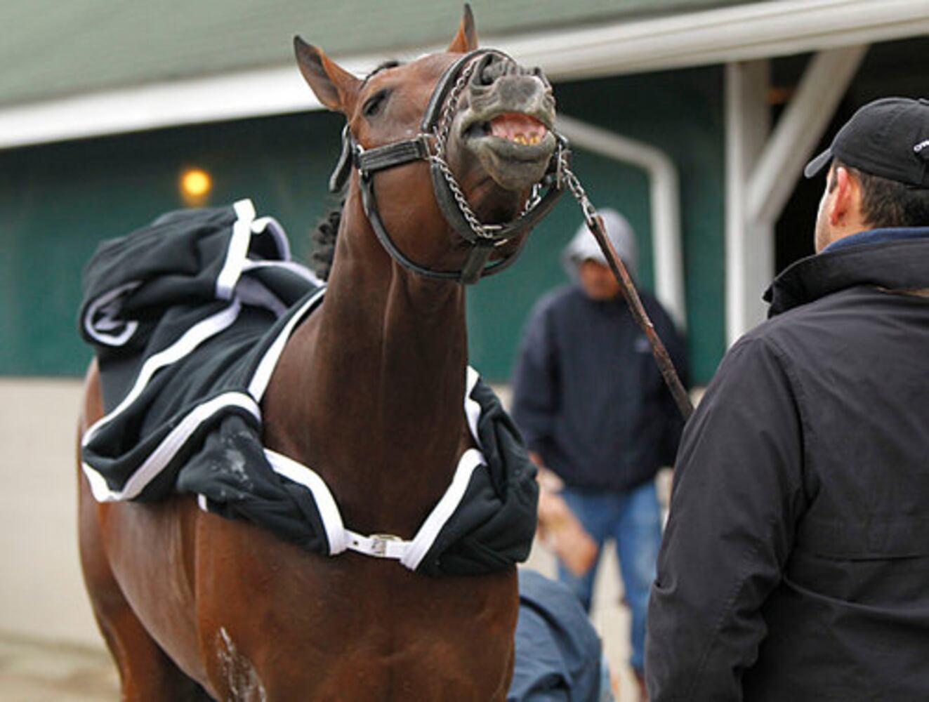 Kentucky Derby field 2011