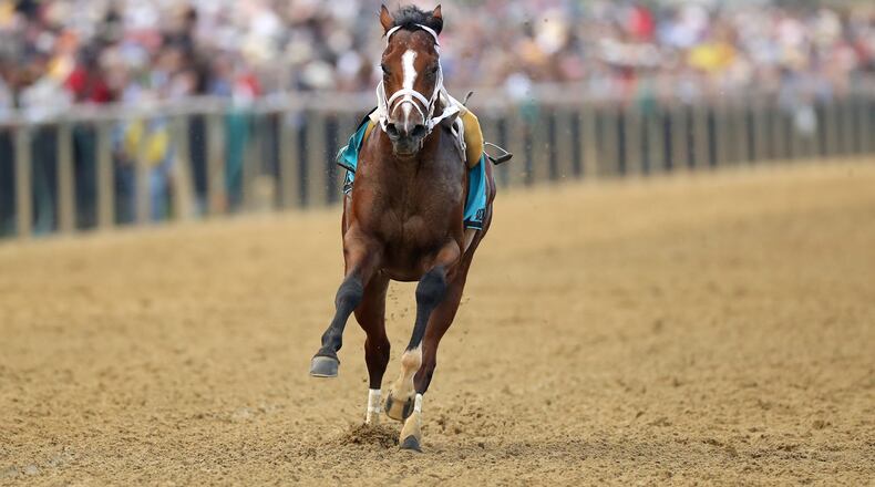 Bodexpress #9 heads into the first turn with the field after dumping jockey John Velazquez at the the start during the 144th Running of the Preakness Stakes at Pimlico Race Course on May 18, 2019 in Baltimore, Maryland. (Photo by Rob Carr/Getty Images)
