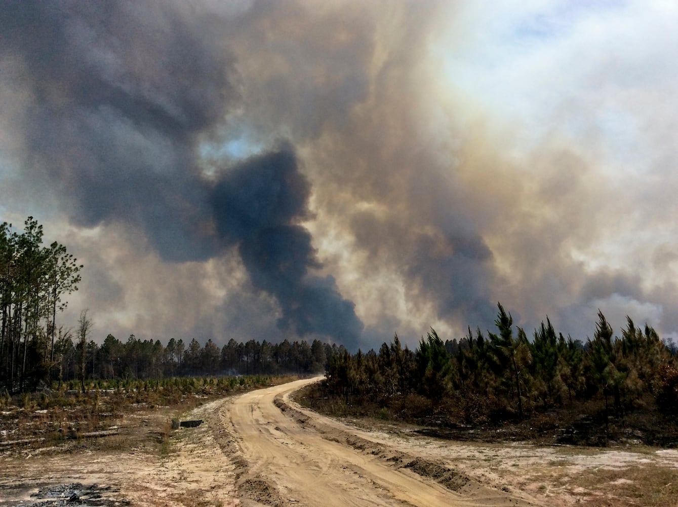 Georgia Wildfire