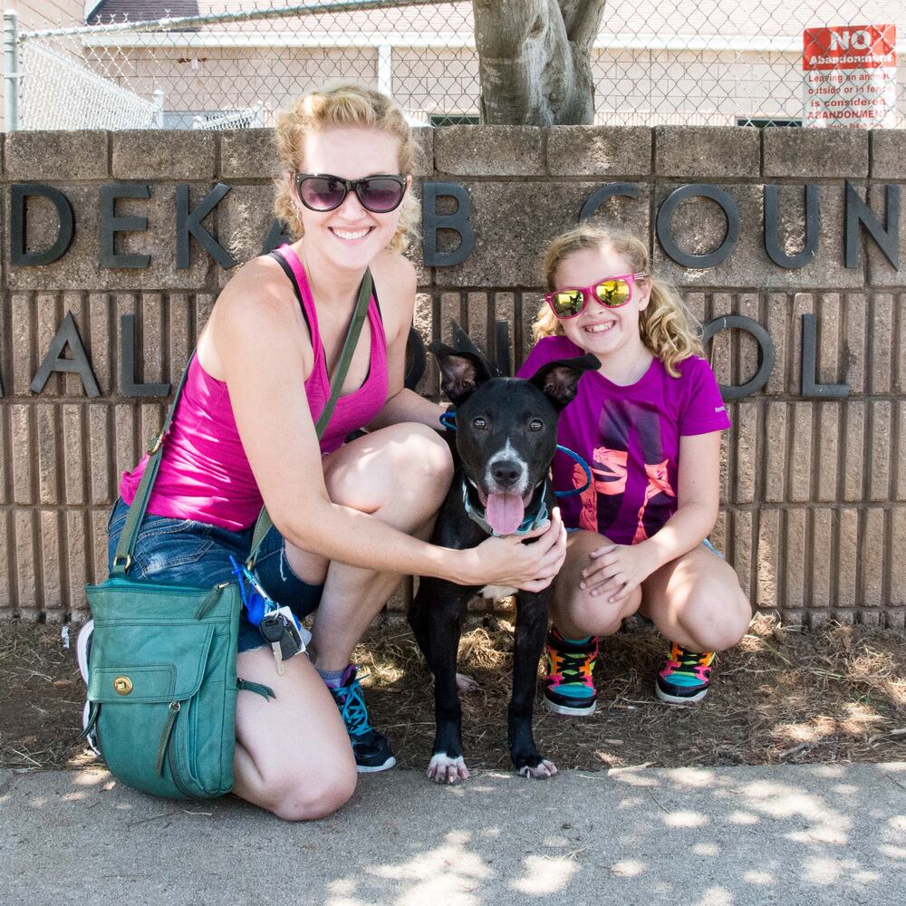 LifeLine animal shelters host free event to house 840 animals