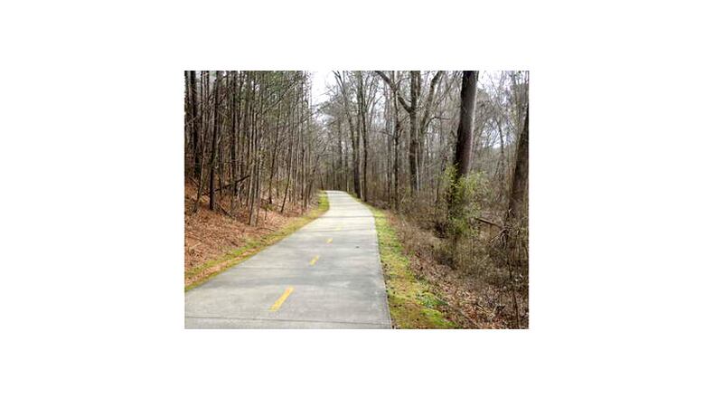 Atlanta Audubon and its partners will remove invasive plant species from the Big Creek Greenway in Alpharetta and install native plants to make it friendlier to resident and migratory birds. ATLANTA AUDUBON