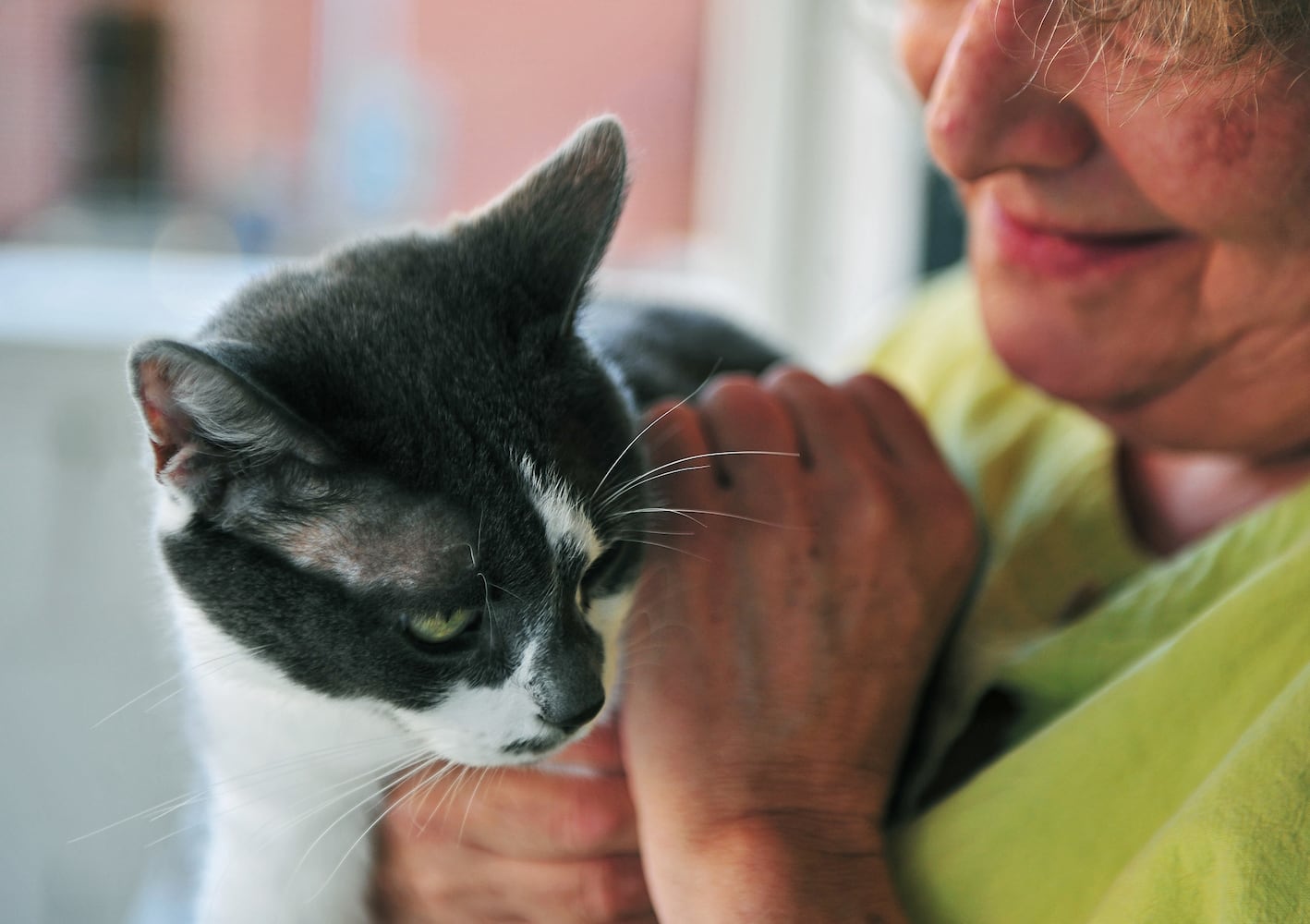 Tom Wargo and his pet nonprofit
