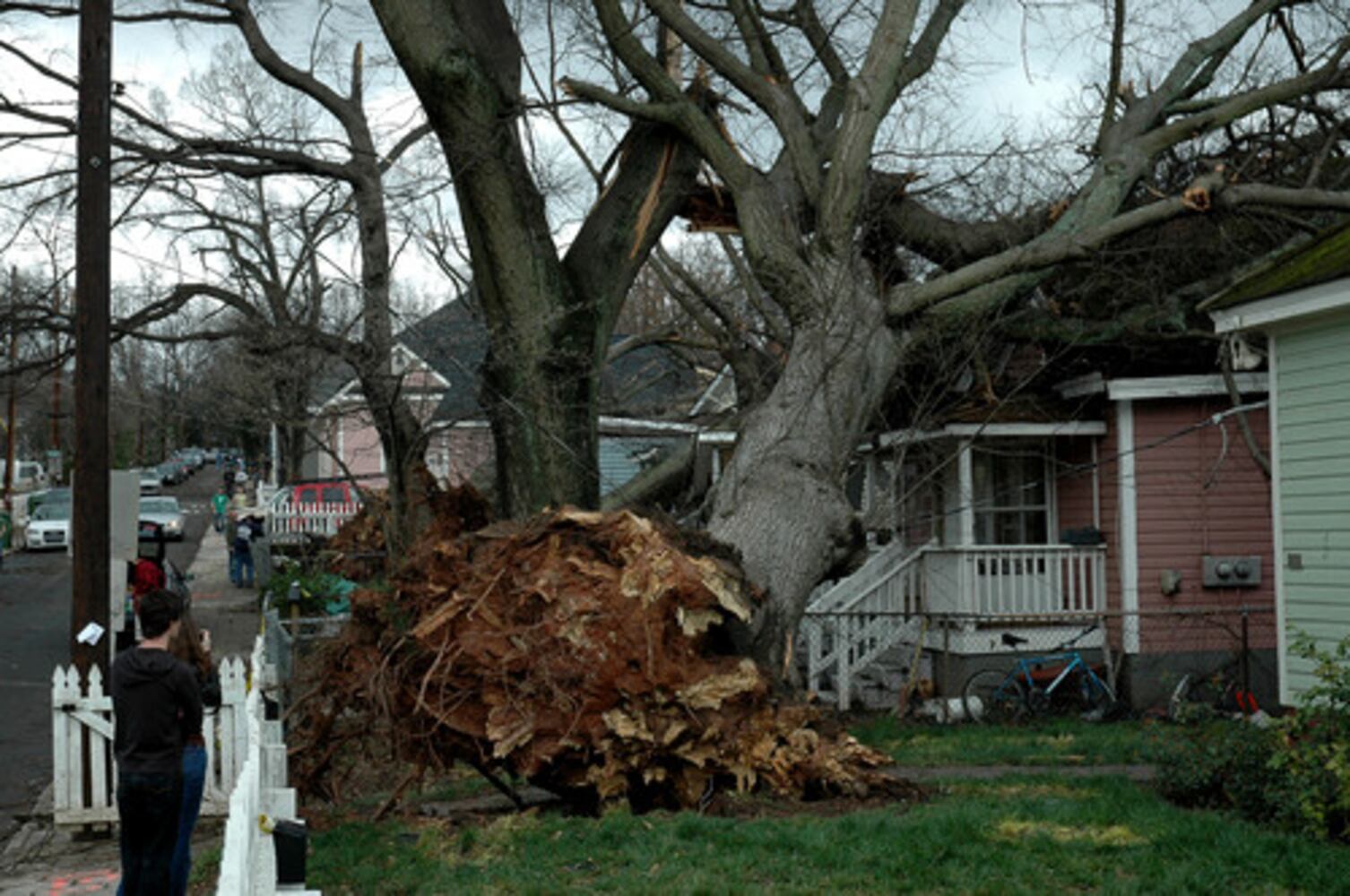 Reader photos of storm damage