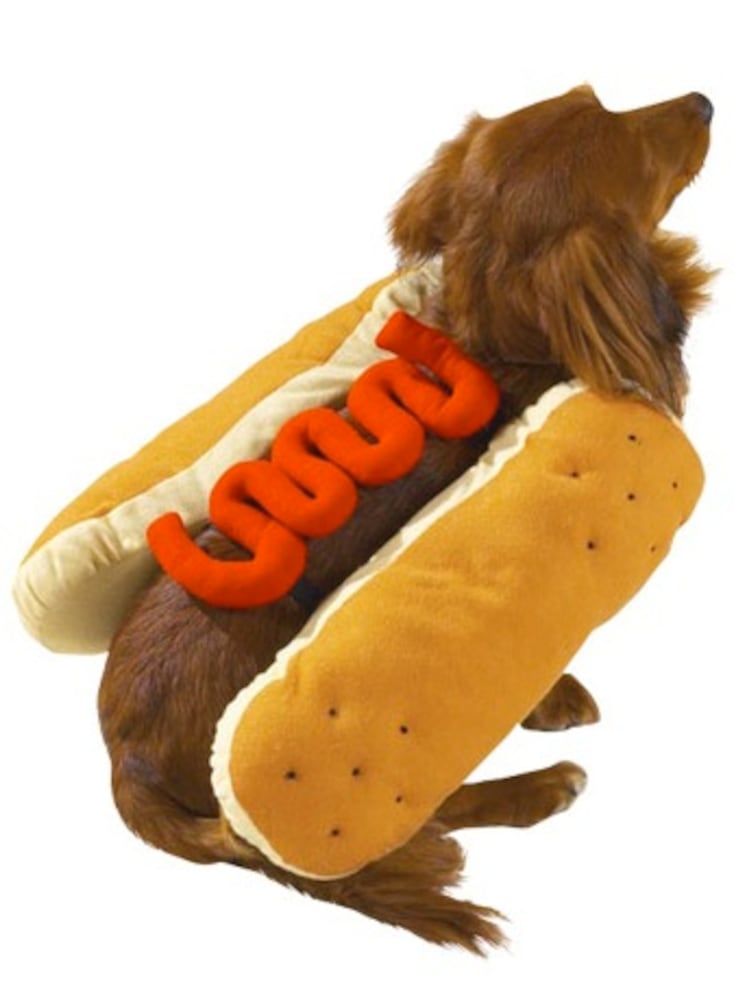 Hot Diggity Dog Costume