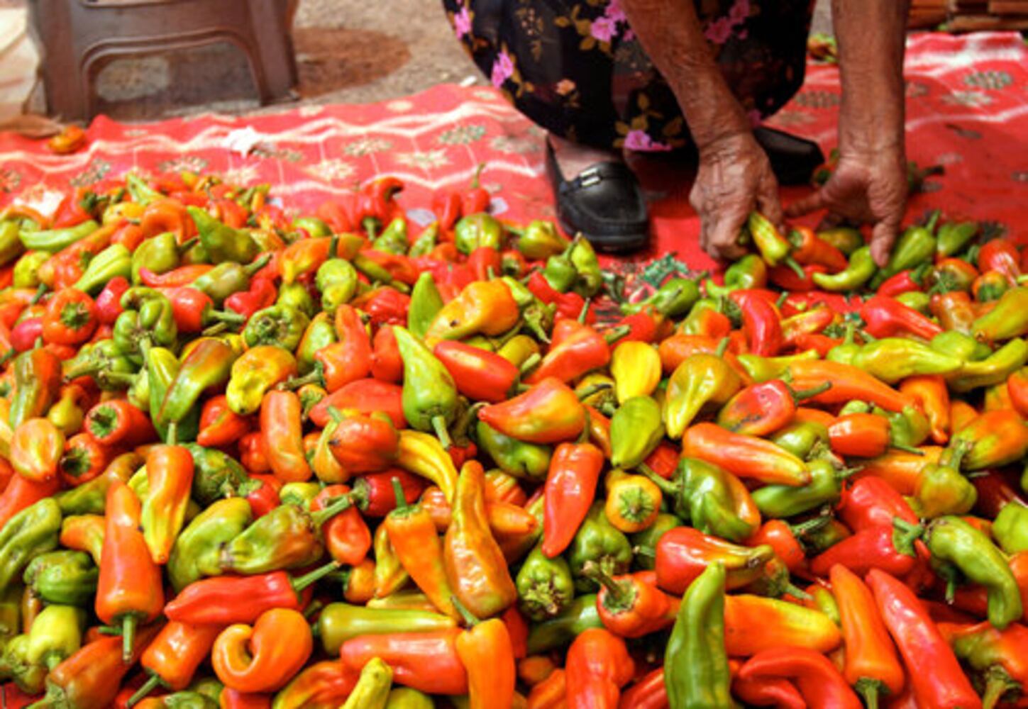 Oaxaca shows off Mexico's diverse landscape