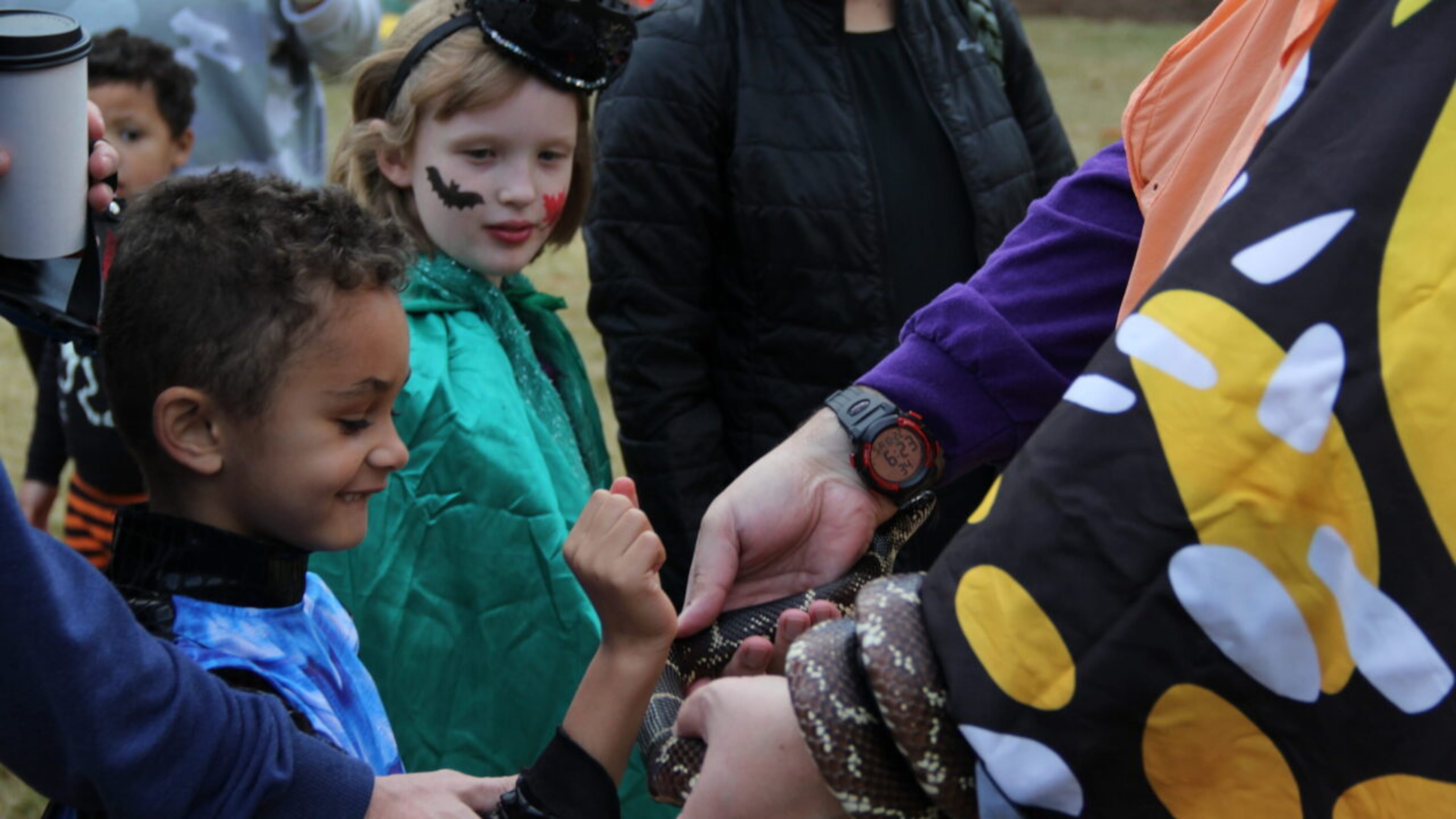 Take a Halloween Hike at the Chattahoochee Nature Center on Friday through Sunday and meet animals along the way. (Courtesy of Chattahoochee Nature Center)