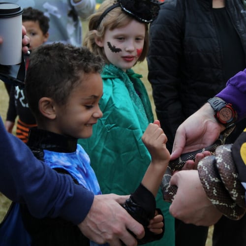 Take a Halloween Hike at the Chattahoochee Nature Center on Friday through Sunday and meet animals along the way. (Courtesy of Chattahoochee Nature Center)