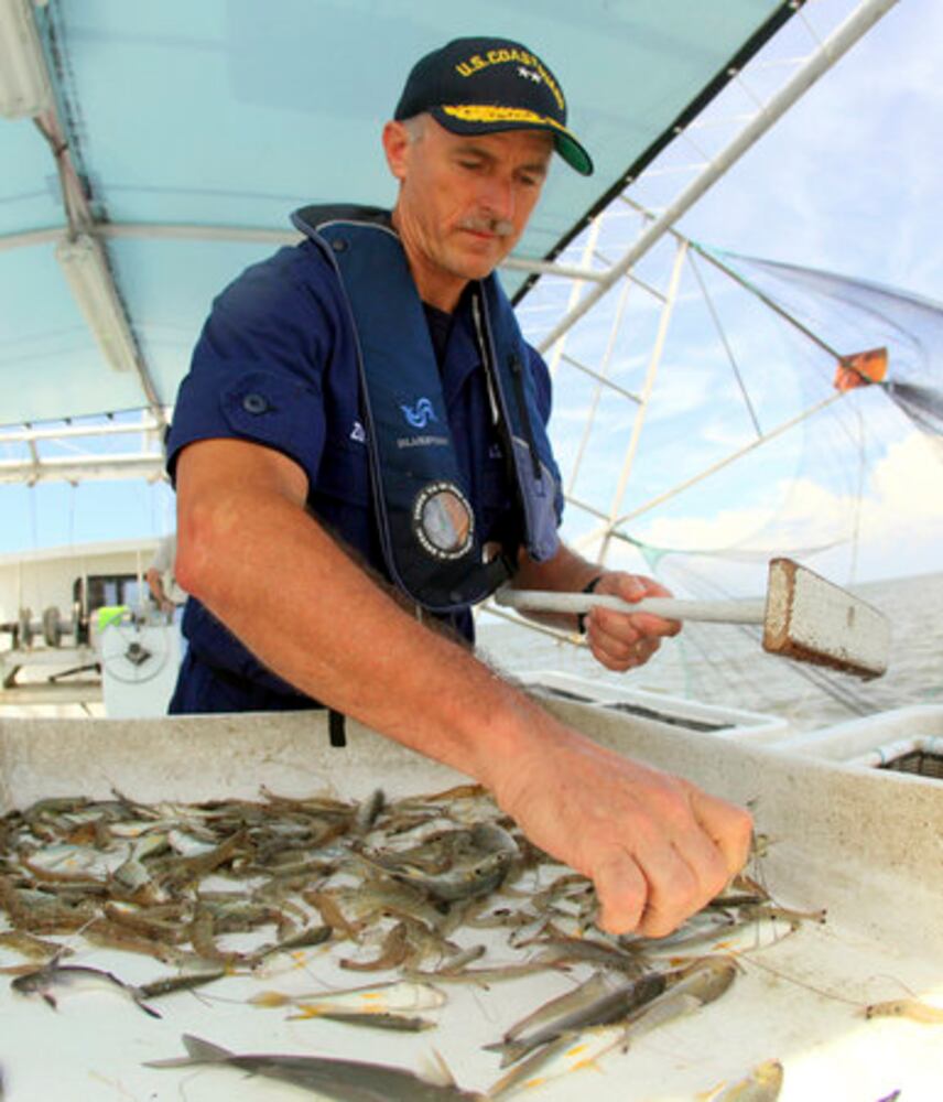 Oil checks precede start of shrimp season