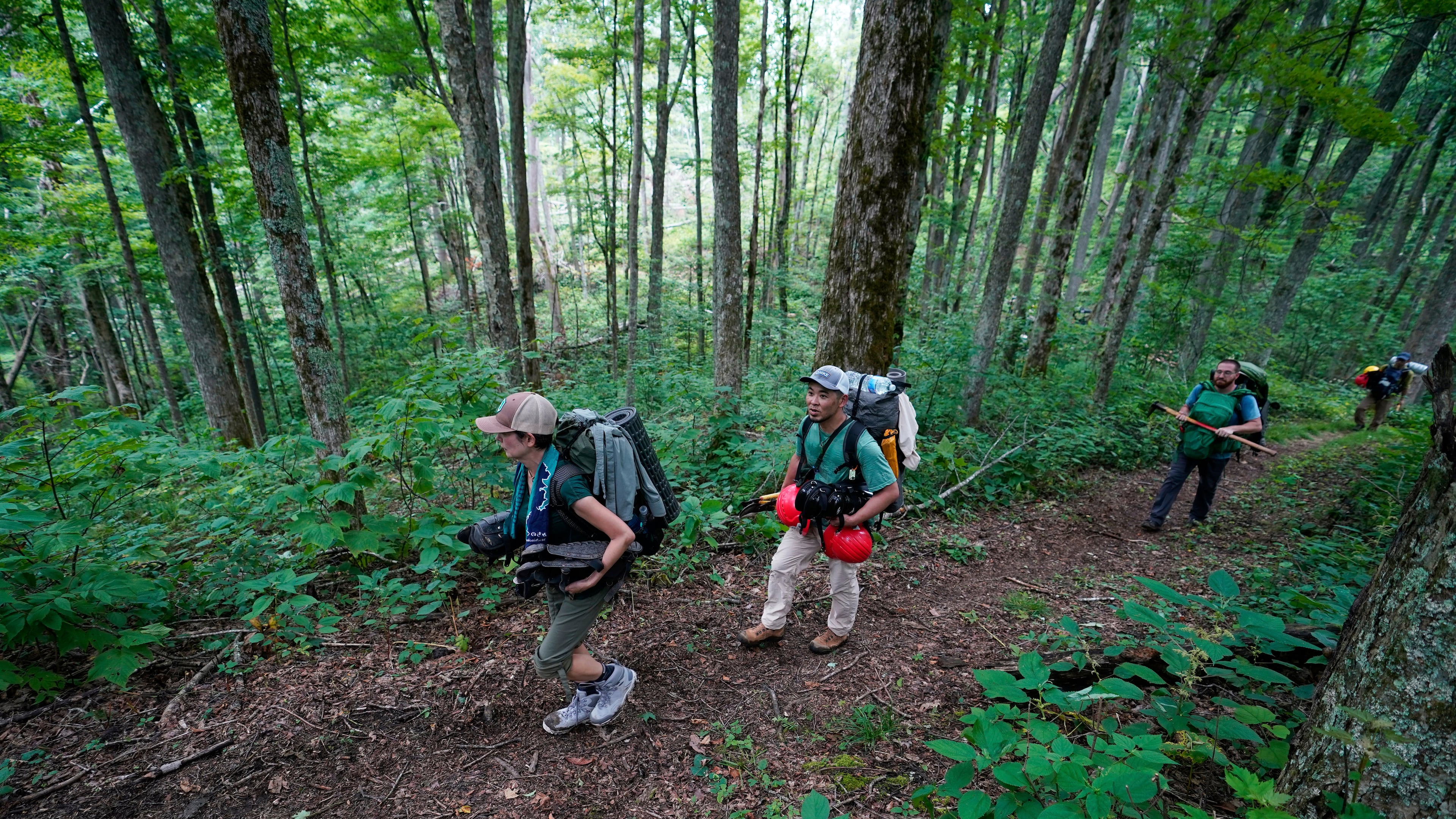 Volunteers Kumi Aizawa, from left, Shin Hasegawa, and Patrick Wilsey, walk to their camp site near the Cherry Gap Shelter along the Appalachian Trail during a trail rebuilding project, July 22, 2025, in Unicoi, Tenn. (AP Photo/Erik Verduzco)