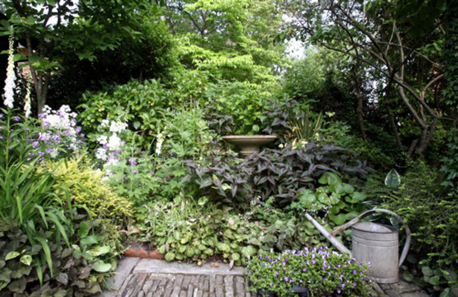Linger in this Virginia-Highland garden