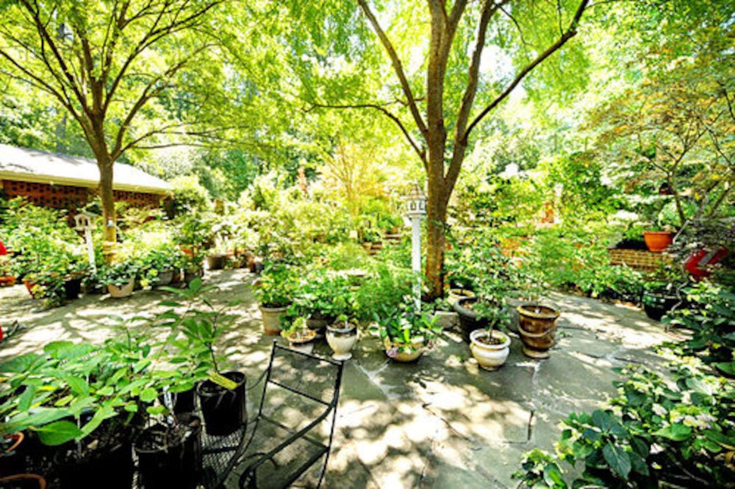 Vince Dooley's Amazing Garden