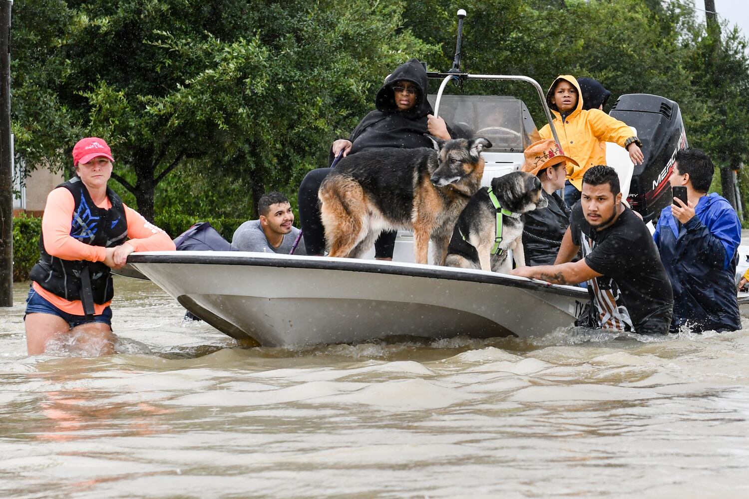 Photos: Harvey’s impact on people and pets