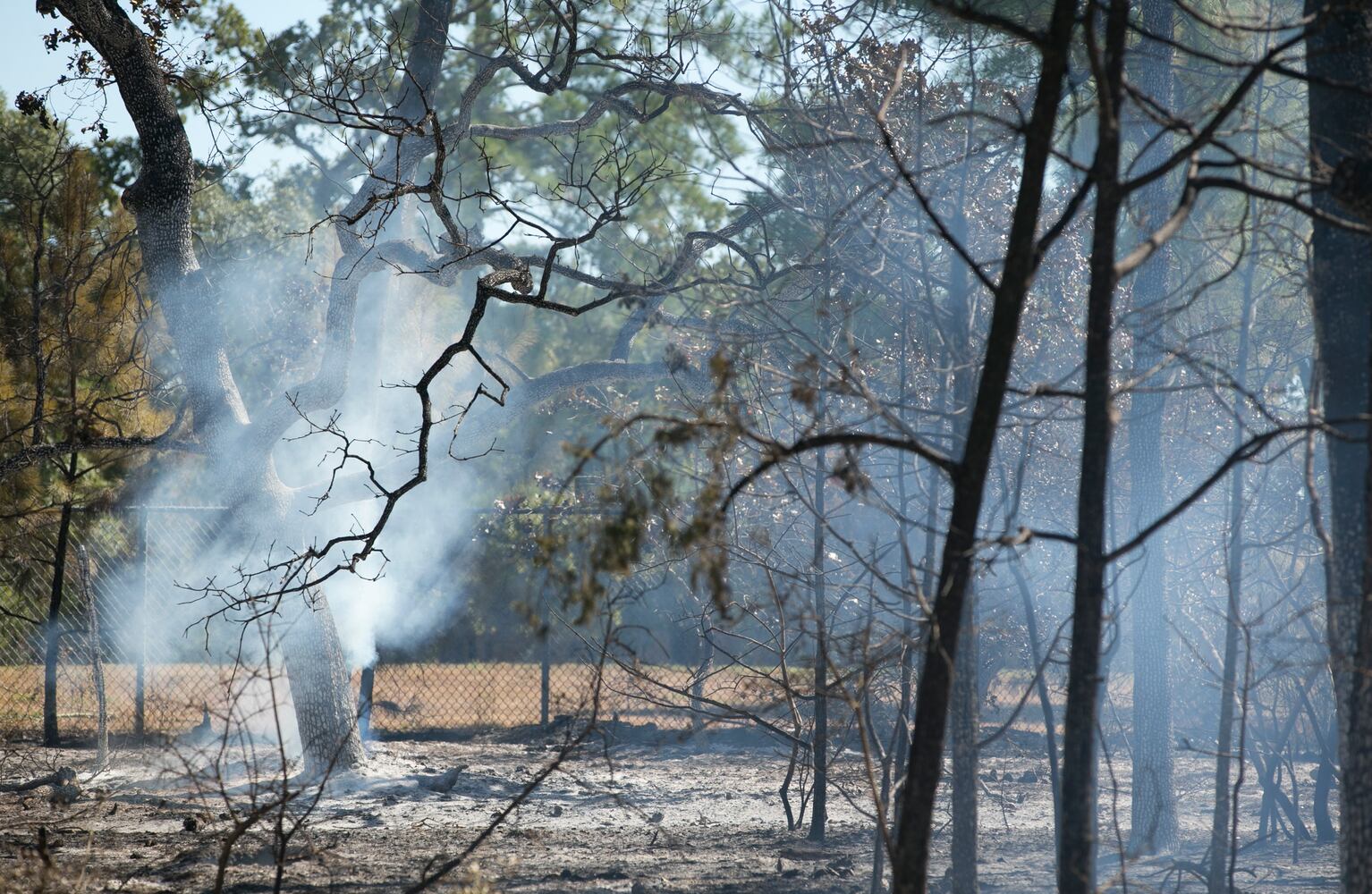 Bastrop County wildfire, 10.15.15