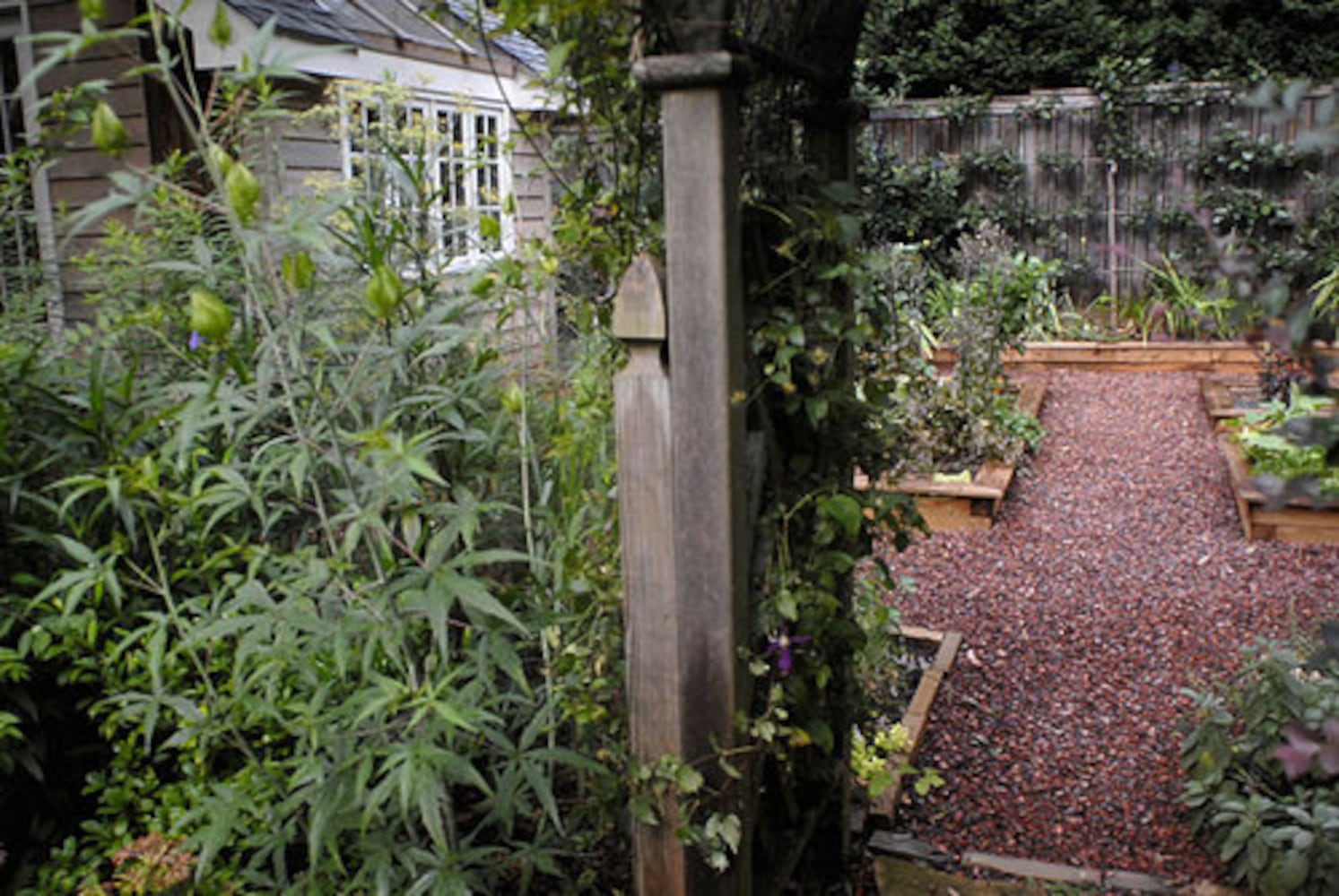 Avondale Estates garden: The 10-year plan