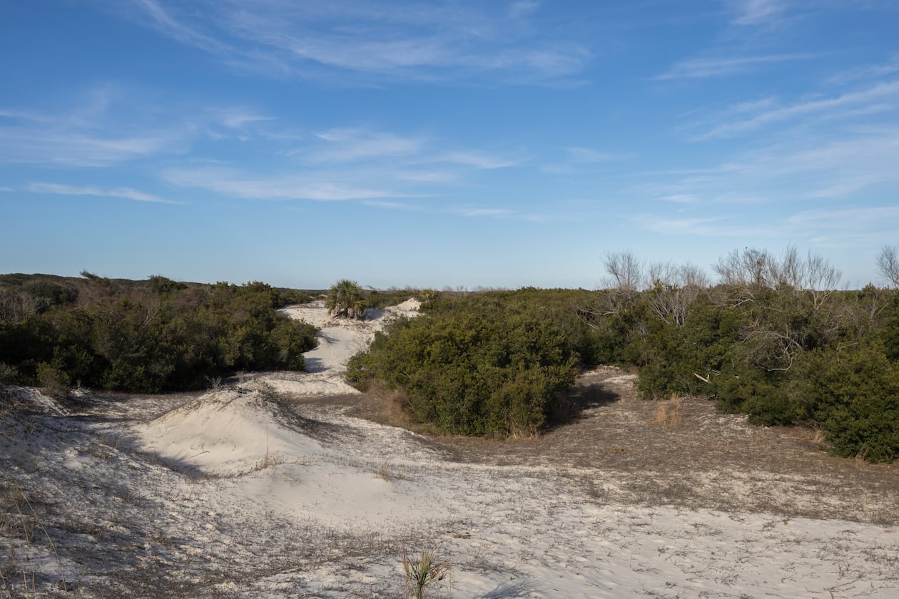 Rolling sand dunes protect the maritime forest from the Atlantic ocean in Cumberland Island. (Stephen B. Morton/AJC 2022)