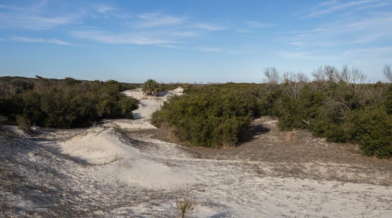 Rolling sand dunes protect the maritime forest from the Atlantic ocean in Cumberland Island. (Stephen B. Morton/AJC 2022)