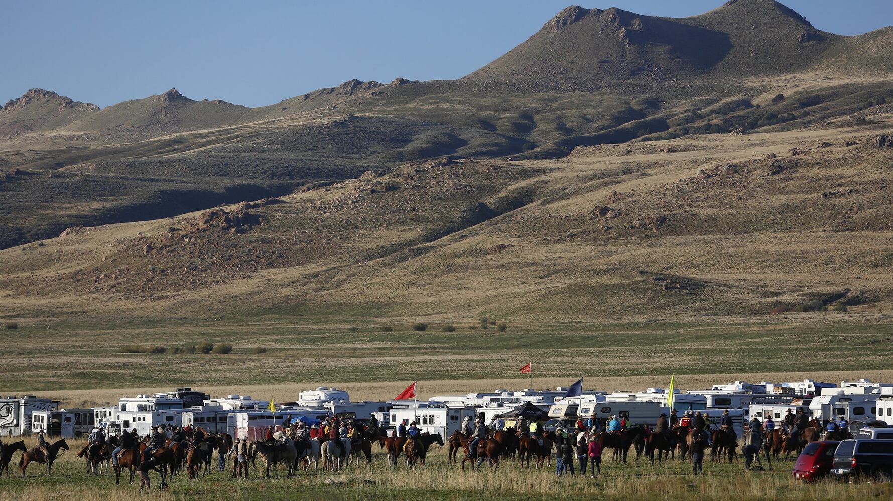 Wanted: Bison herders; tenderfoots welcome