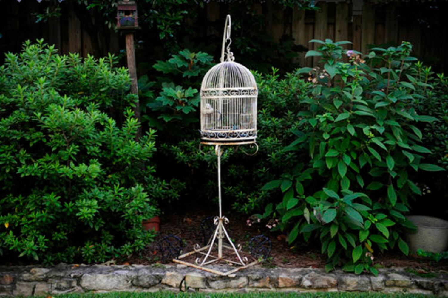 Amazing Space: A cozy garden retreat