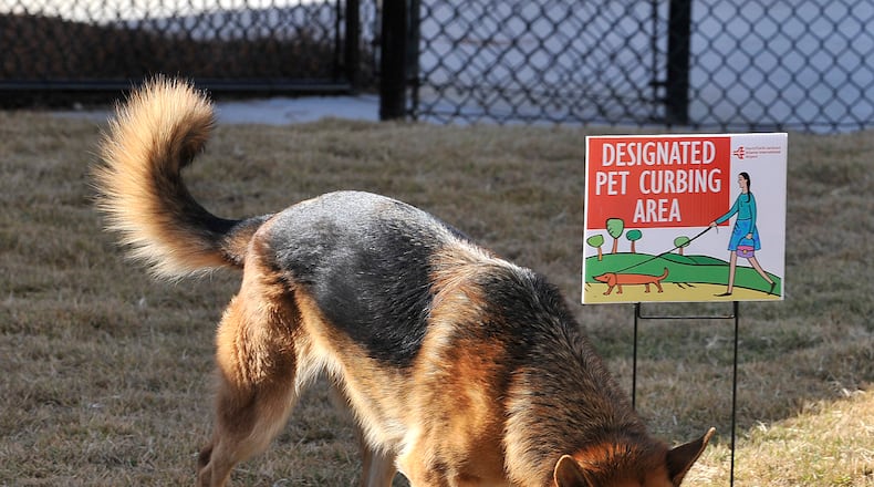 091120 - Hapeville - Yara plays in the dog park at Hartsfield Jackson International Airport on Friday, November 20, 2009. This is part of the new Town Square. The Town Square was built as part of rental car center people-mover station, which was supposed to start operating Nov. 10 but was delayed until December. The town square and doggy area are already finished. Johnny Crawford, jcrawford@ajc.com