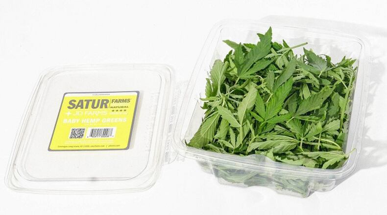 A box of hemp greens from Satur Farms on Long Island, New York. (MUST CREDIT: Evan Ortiz/Bloomberg)