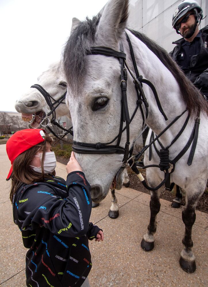 Atlanta Police, Mounted Patrol