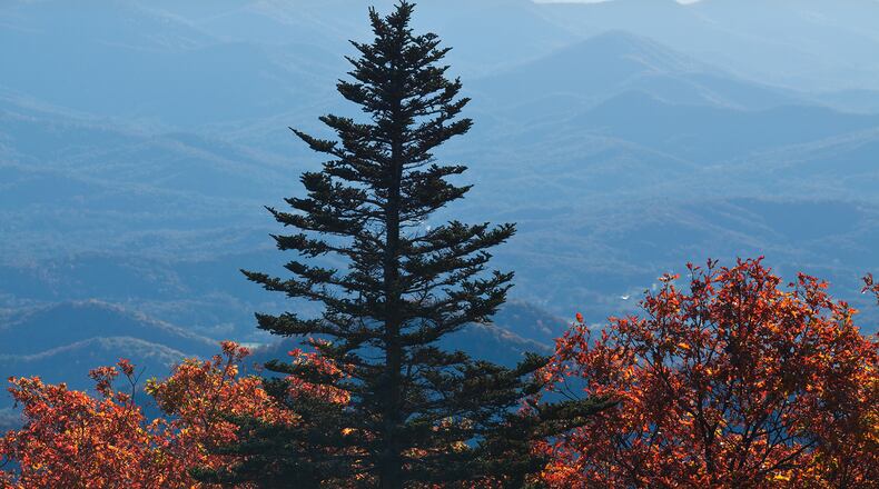 Brasstown Bald is home to one of Georgia's most challenging hiking trails.