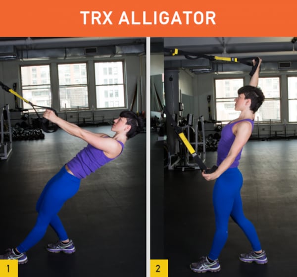 TRX Alligator
