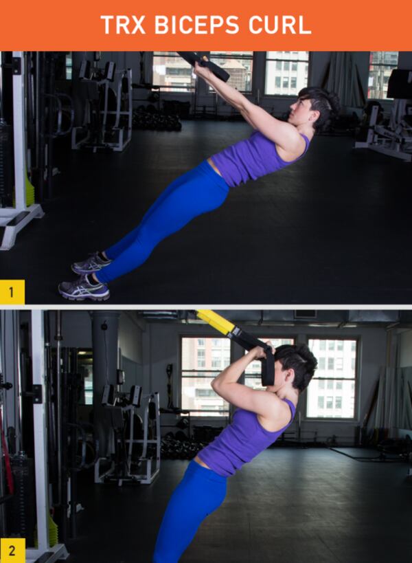 TRX Biceps Curl
