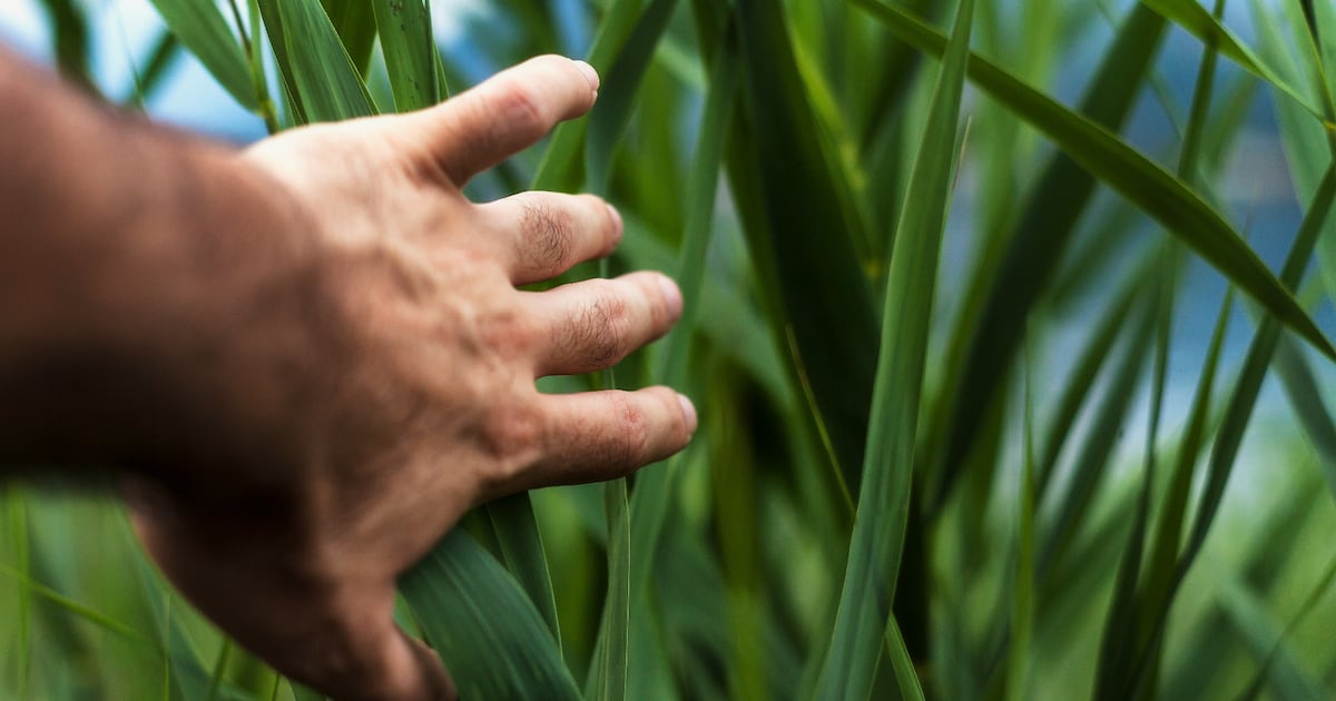 New Touch Grass app makes you literally step outside before scrolling