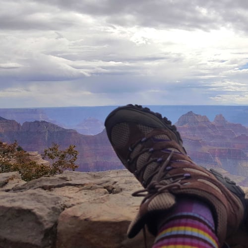Most visited national parks