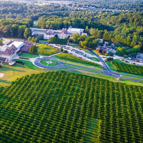 Facts about Chateau Elan Winery & Resort
